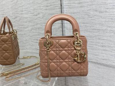 DIOR Handbags 564